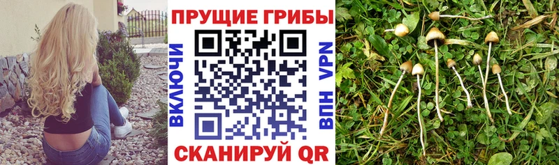 Галлюциногенные грибы Magic Shrooms  Гай 