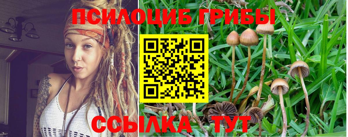 Лсд 25 Гай