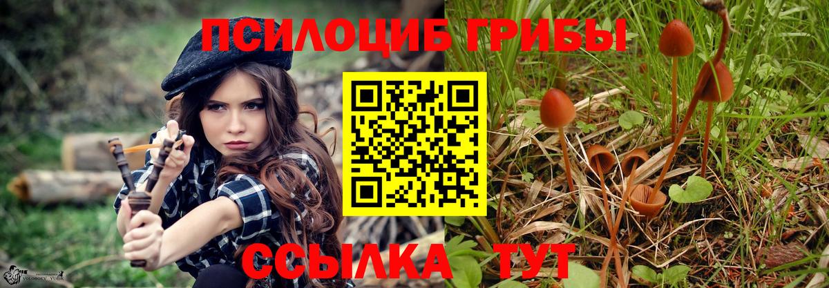 Гай  Галлюциногенные грибы ЛСД  Вход с VPN 