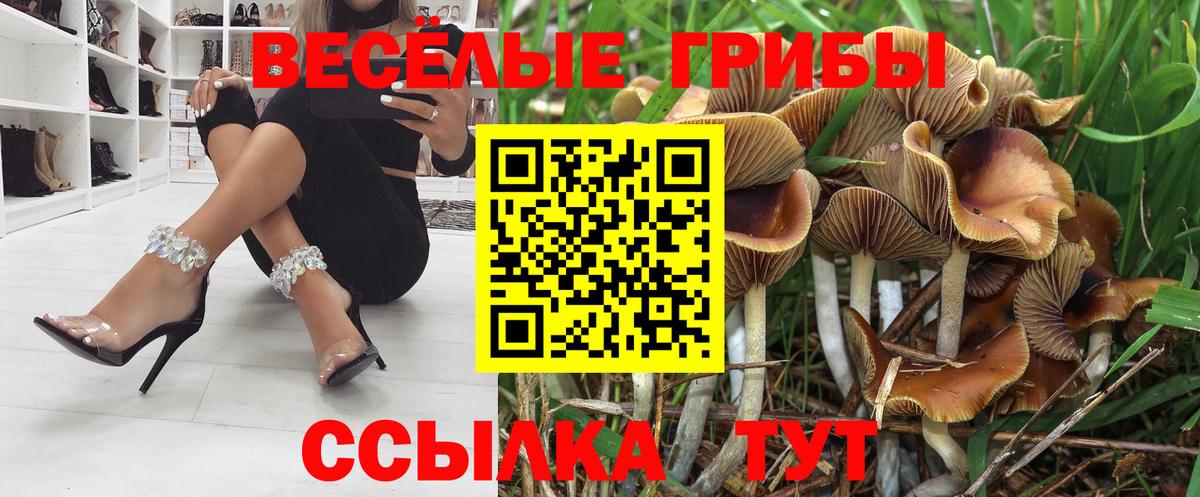 Галлюциногенные грибы прущие грибы  Гай 