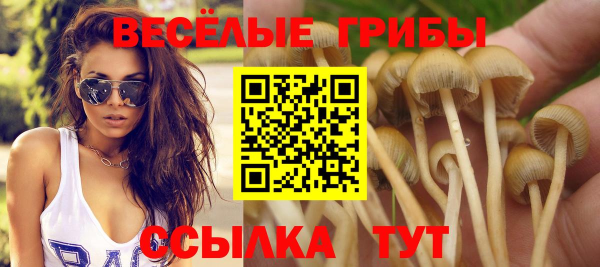 Псилоцибиновые грибы мухоморы Гай